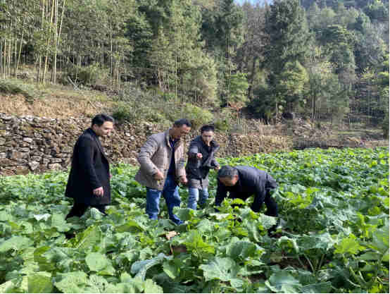 1670997195317006.jpg 微信圖片_20221214135101_副本_副本.jpg