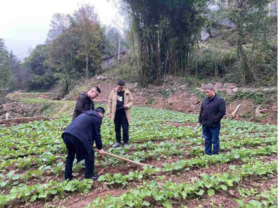 1670997235797375.jpg 微信圖片_20221214135110_副本.jpg